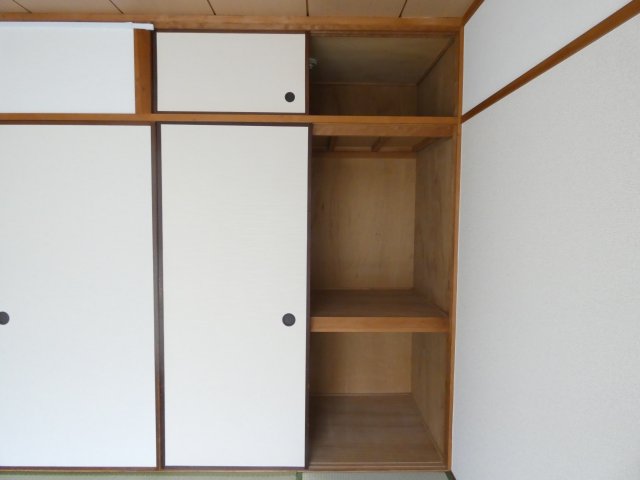 ★たぁたん★ 【引き取り限定（大阪長居）】 ☆たぁたん☆ 【引き取り限定（大阪長居）】 ☆たぁたん