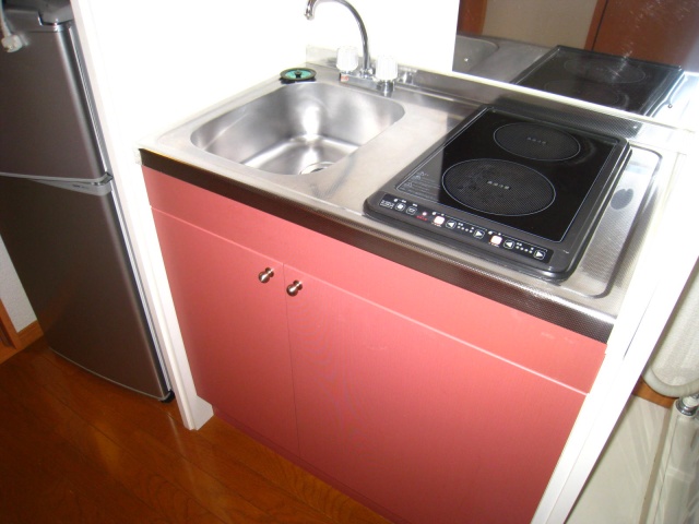 キッチン　同物件、別号室のものです。