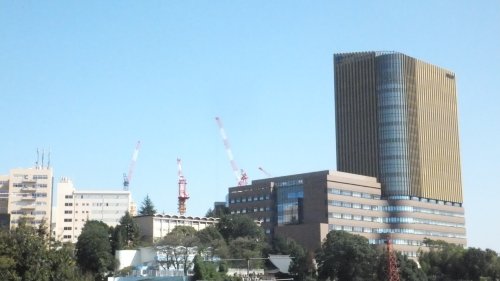 【メゾン東中野の大学・短大】