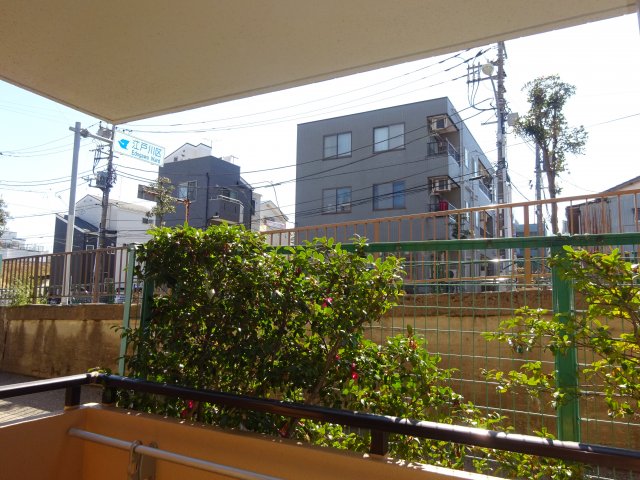 その他　同タイプ