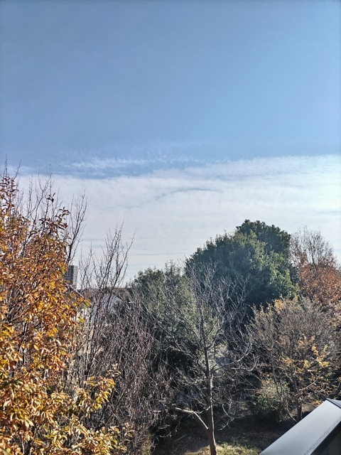 眺望　バルコニーから見た景色