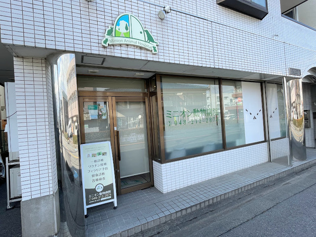 病院　ミニオン動物病院（病院）まで1163m