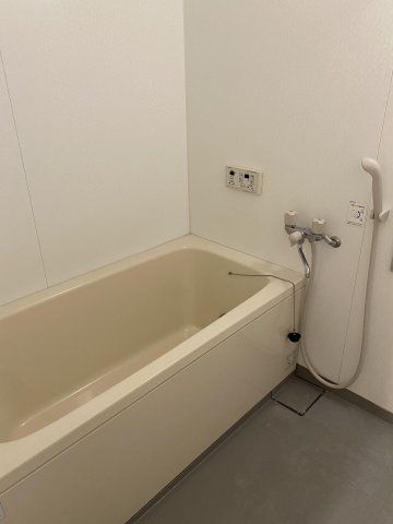 バス・シャワールーム　落ち着いた空間のお風呂です