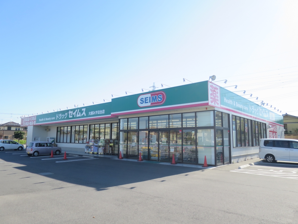 ドラックストア　ドラッグセイムス大網みずほ台店（ドラッグストア）まで666m