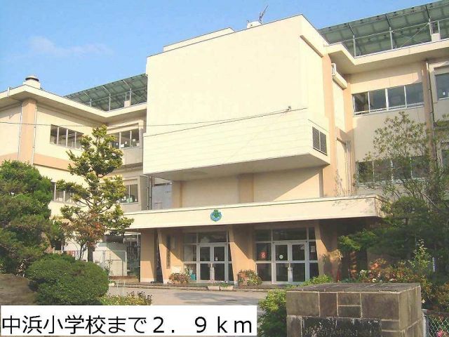小学校　中浜小学校（小学校）まで2900m