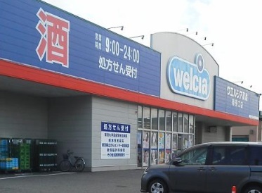 ドラックストア　ウエルシア薬局新潟新和店（ドラッグストア）まで648m