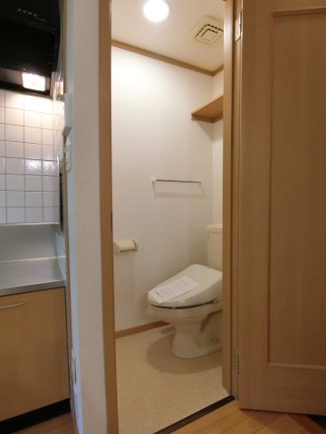 トイレ　208の写真（間取反転タイプ：イメージ）