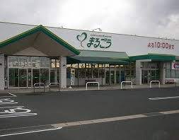 スーパー　まるごう 羽合店（スーパー）まで488m