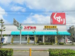 ドラックストア　スギ薬局 清洲店（ドラッグストア）まで816m