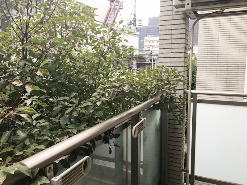 バルコニー　バルコニー※別部屋参考写真