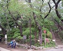 公園　魚籃坂下緑地（公園）まで610m