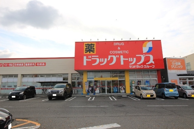 ドラックストア　ドラッグ・トップス河渡店（ドラッグストア）まで700m