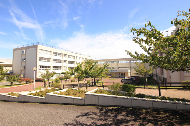 中学校　新潟市立藤見中学校（中学校）まで800m