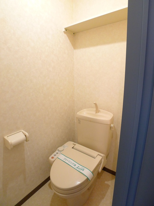 メゾン柏洋のトイレ写真