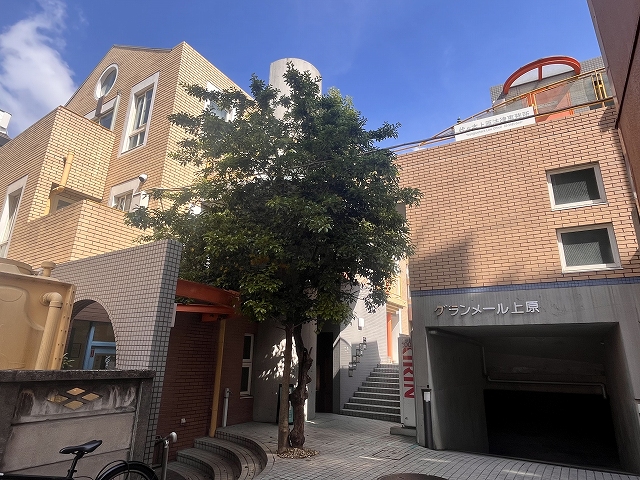 代々木上原駅4分 グランメール上原 M