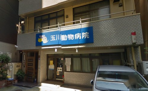 病院　玉川動物病院（病院）まで437m