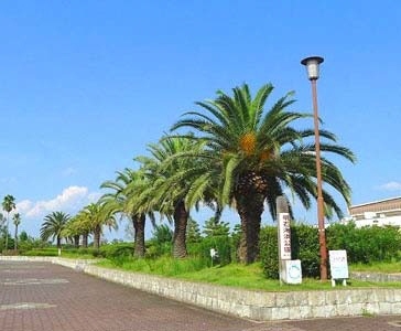 公園　明石海浜公園（公園）まで918m