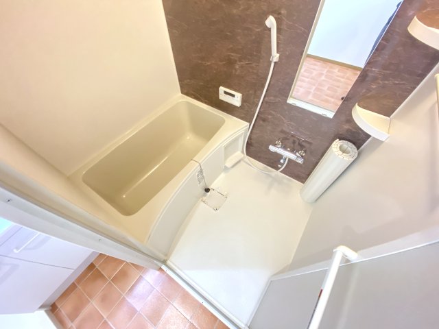 バス・シャワールーム　コンパクトヘッドで使いやすいシャンプードレッサー♪
