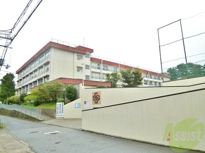 小学校　緑地小学校（小学校）まで698m