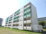 愛野駅より徒歩39分 4階 築53年2ヶ月の賃貸物件