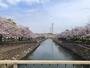 公園　平和市民公園（公園）まで994m