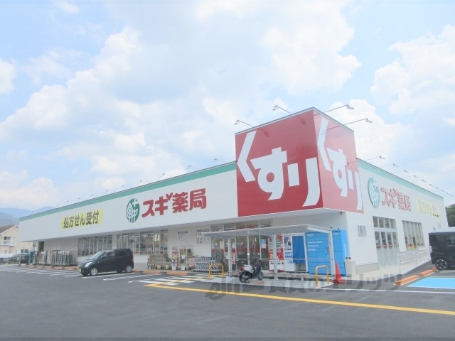 ドラックストア　スギ薬局亀岡東店（ドラッグストア）まで850m