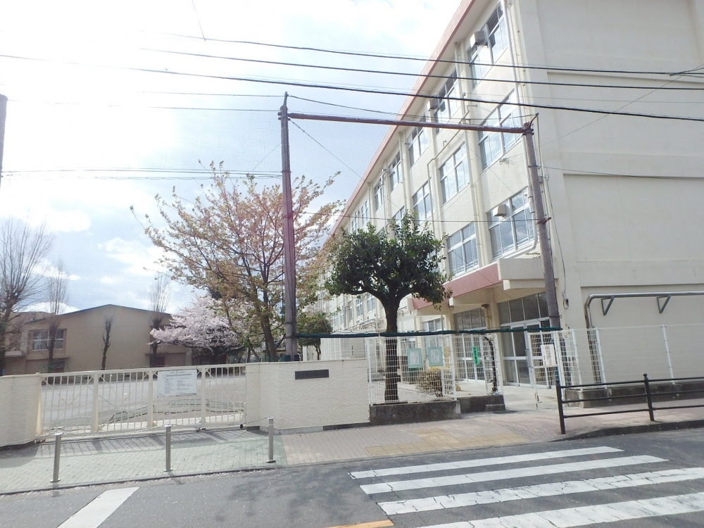 小学校　国立市立第三小学校（小学校）まで291m