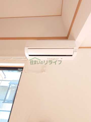 その他設備　パームグローブ