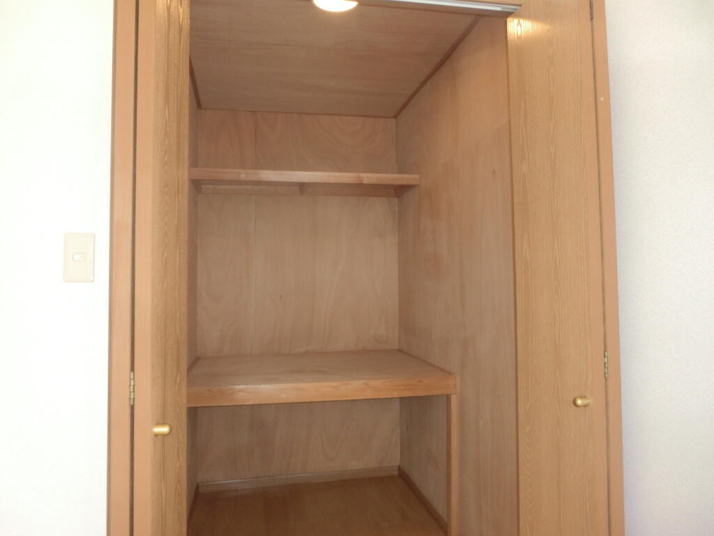 収納　ウォークインクローゼット