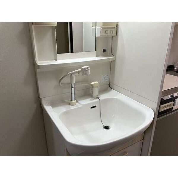 洗面設備　洗面台　※同タイプの部屋のお写真です