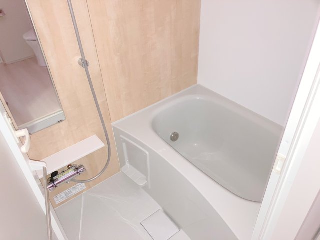 バス・シャワールーム　ディアレイシャス錦糸町