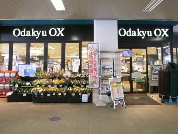 スーパー　Odakyu OX(オダキュウ オーエックス) 梅ヶ丘店（スーパー）まで526m