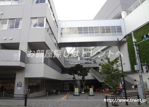 幼稚園・保育園　ふじみこども園（幼稚園・保育園）まで240m