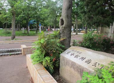 公園　東小松川南公園（公園）まで135m