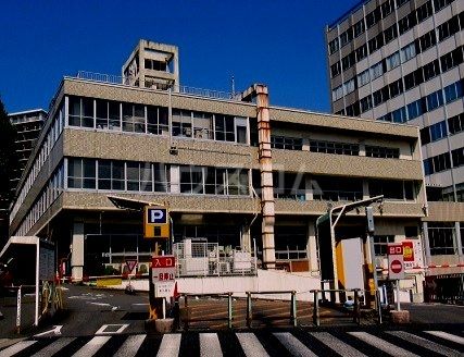 役所　松戸市役所（役所）まで1130m