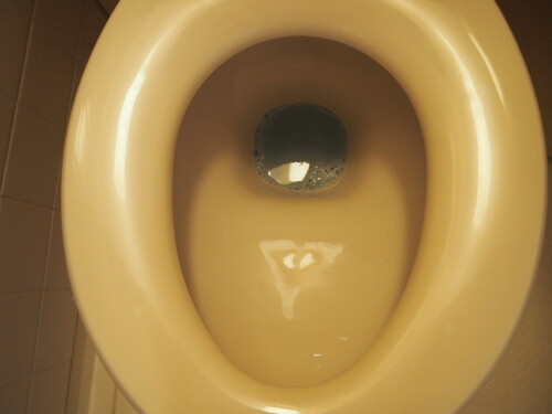 トイレ　トイレ　※前回募集時2020年2月の写真