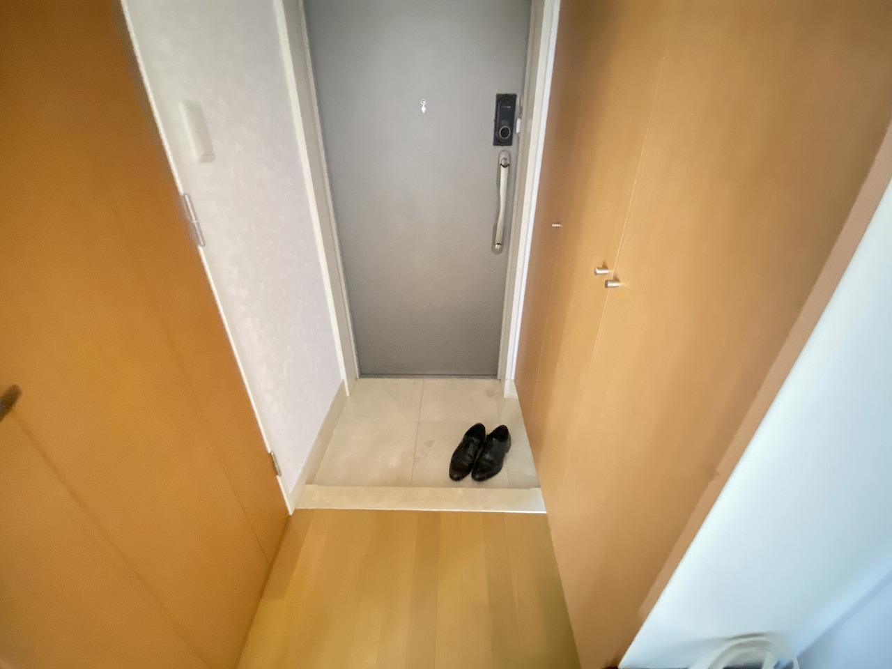 玄関　※別部屋参考
