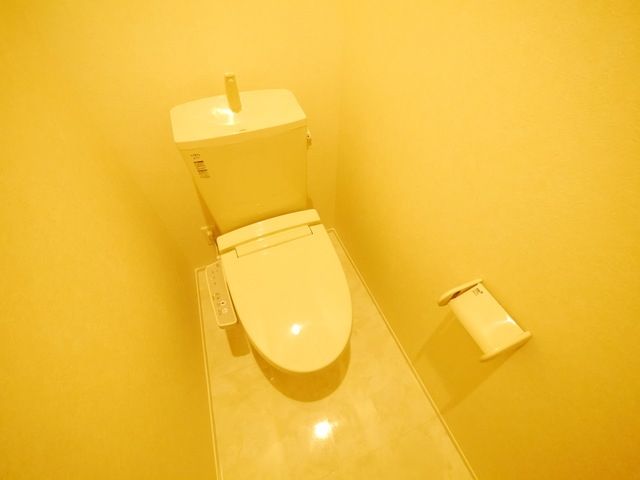 トイレ　同物件別部屋写真