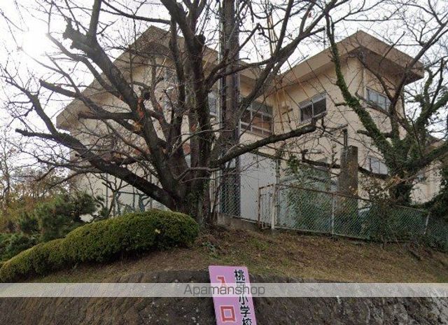小学校　大分市立桃園小学校（小学校）まで1030m