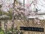 小学校　枚方市立菅原小学校（小学校）まで503m