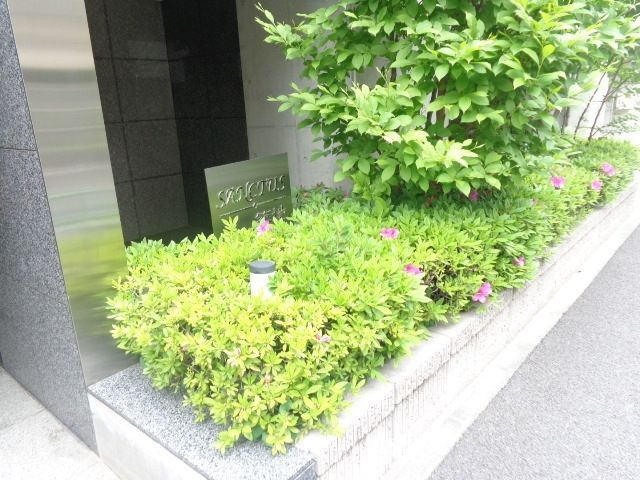 庭　植栽