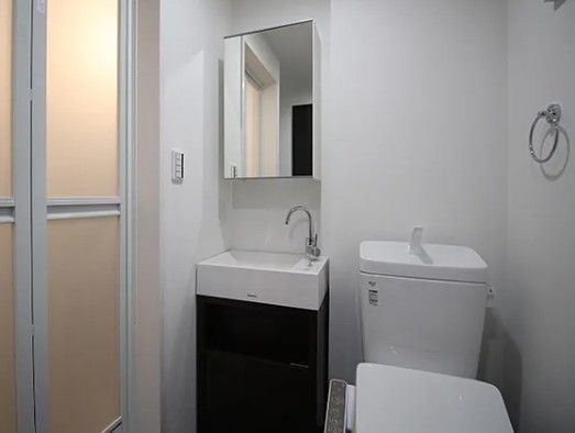 洗面設備　参考写真：別部屋タイプ