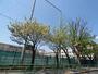 中学校　世田谷区立千歳中学校（中学校）まで417m