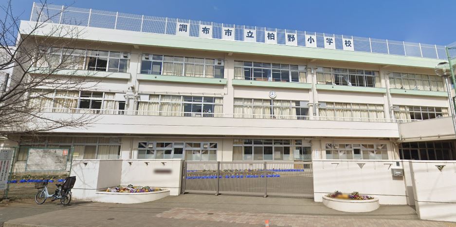小学校　調布市立柏野小学校（小学校）まで225m