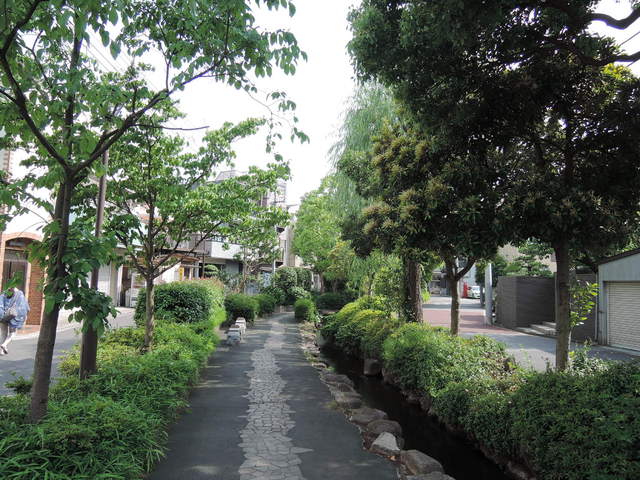 その他　小松川親水公園（その他）まで10m