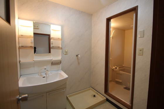 洗面設備　※他号室の写真です