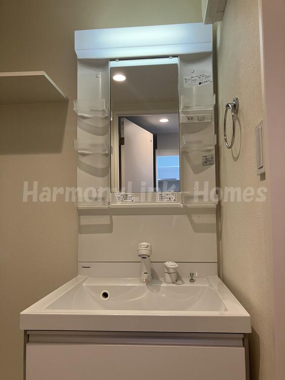 洗面設備　ハーモニーテラス北小岩VIの独立洗面化粧台が付いています