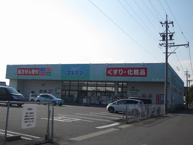 ドラックストア　ドラッグスギヤマ坂部店（ドラッグストア）まで793m