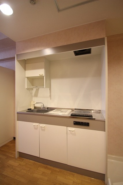 キッチン　同物件別号室のものです。