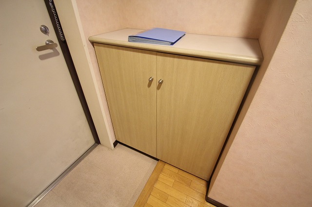 玄関　同物件別号室のものです。
